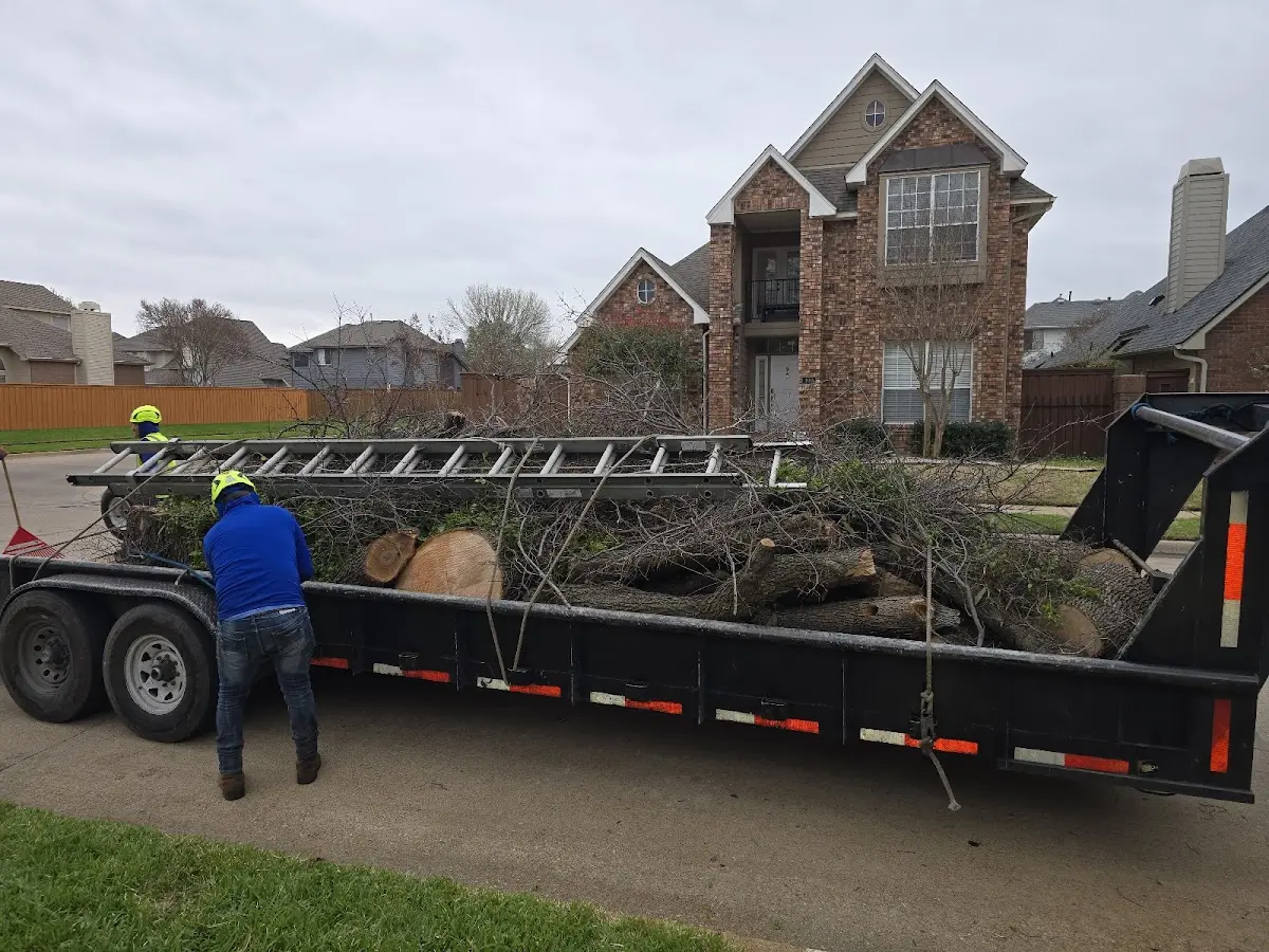 Expert Tree Removal with proper safety equipment in Reading